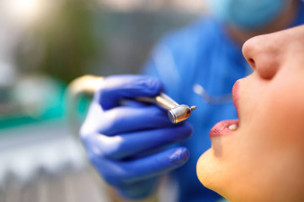 Why Choose Us for Your Dental Needs in Willard, UT